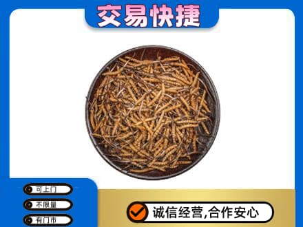 信阳市息县礼品回收虫草.jpg